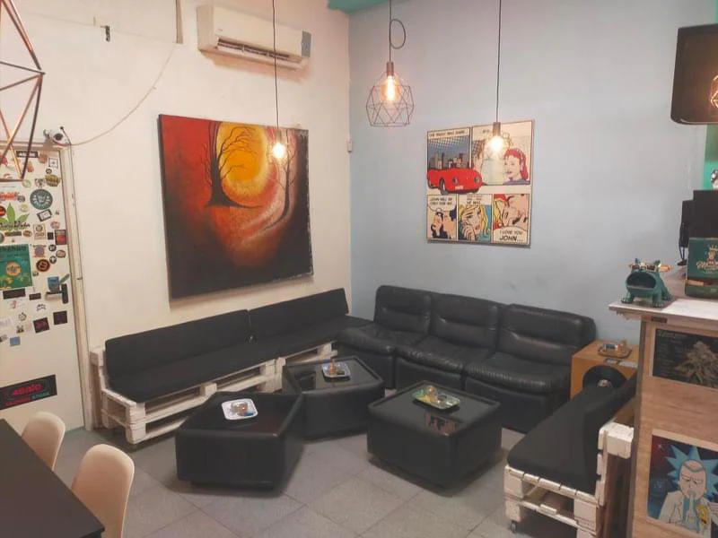 Social Club Fast-Track Contact | Gran Canaria - Image 5